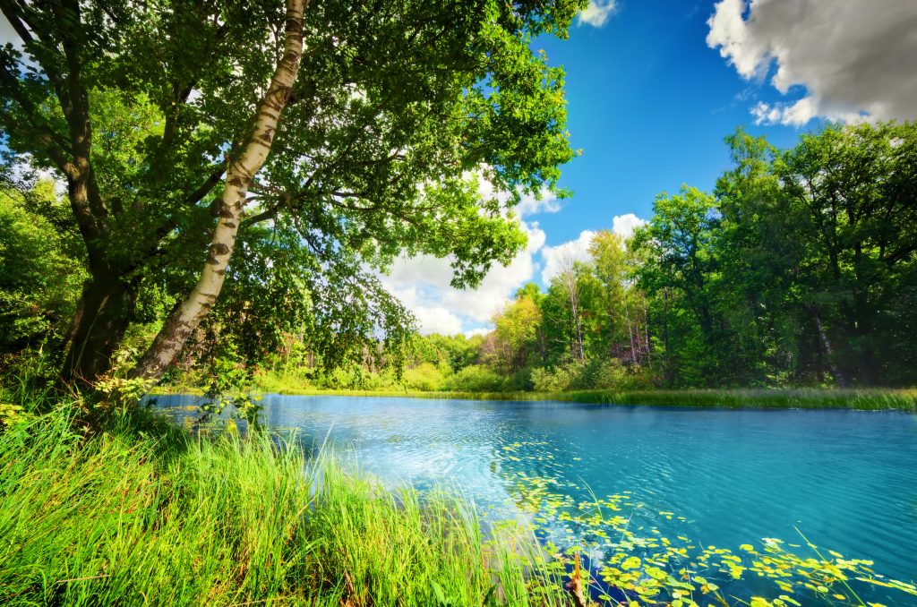 Clean tranquil lake in green spring summer forest. Blue sunny sk